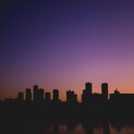 6ヶ月の白猫です。、