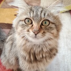 里親さん決まりました！