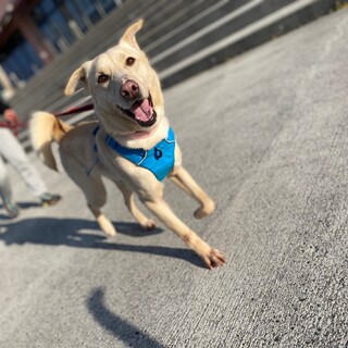 ご家族決定いたしました！ありがとうございました！