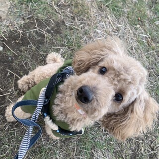 2歳になったばかりのわんぱくボーイ！チャンクくん