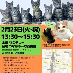 ねこチュー　猫の譲渡会