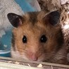 の写真