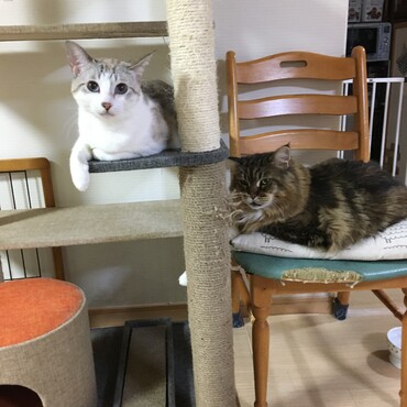 の写真