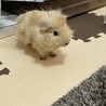 ともーーー