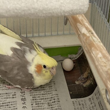 今はそっとしておきます。