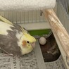 今はそっとしておきます。