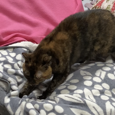 3才になってもビーズクッションでふみふみ。