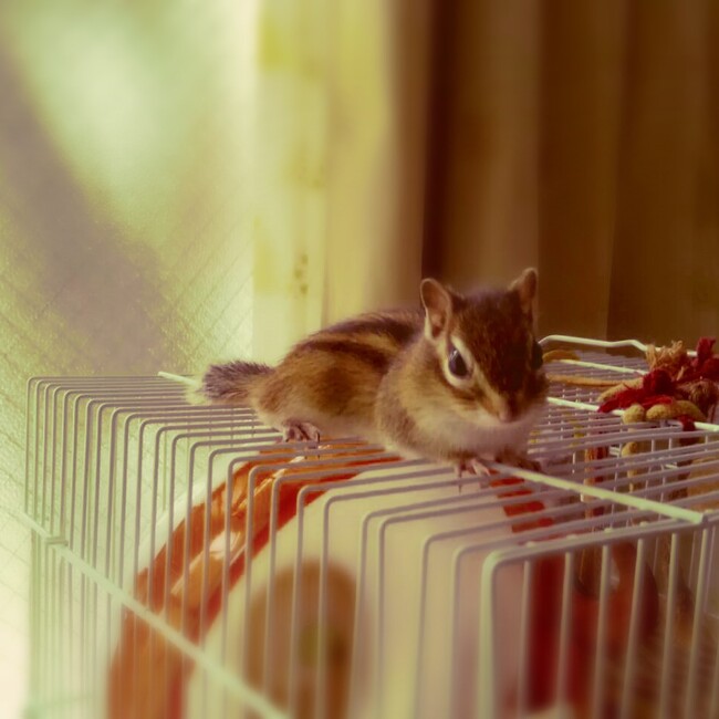 レミー0501のカバー写真