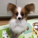 トライアル決定エルくん