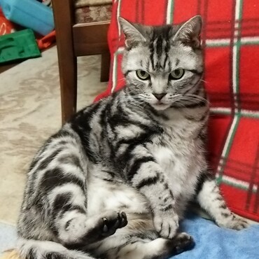 みかんは可愛い。親バカだけど可愛い。