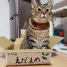 ひゅうまたぬ