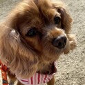 苦労の果てに頑張った…みれちゃん幸せ待ってます！