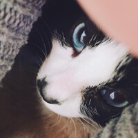 ぐり