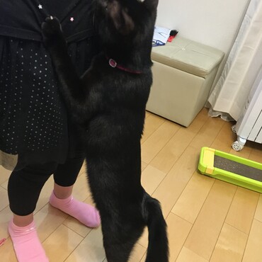 ちょうだい！ちょうだい！ちょうだい！