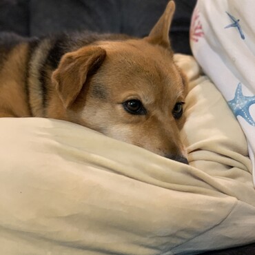 の写真