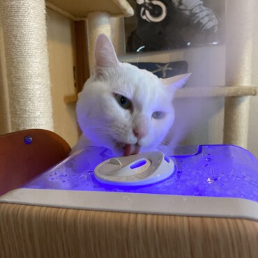 の写真