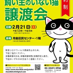 (予約制)中央区飼い主のいない猫譲渡会