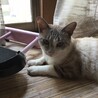の写真