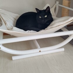 みんな元気です