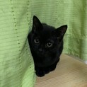 とっても甘えん坊な女の子です
