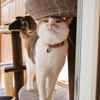 シニアガールのミミちゃんです！