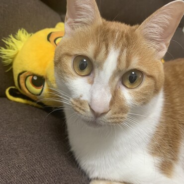 の写真