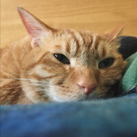 ムンク