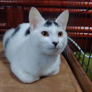 まる君　人馴れ抜群!