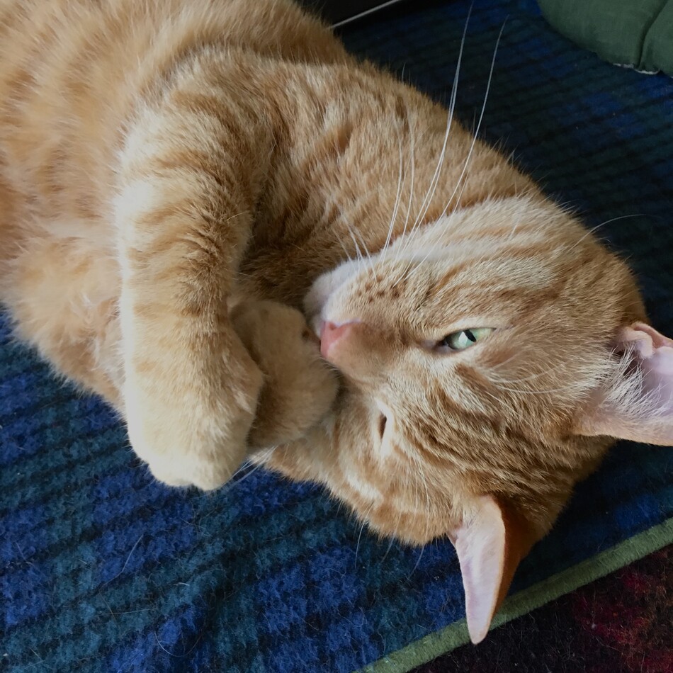 ムンクのカバー写真