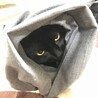 の写真