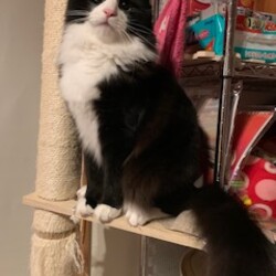 久しぶりの近況報告