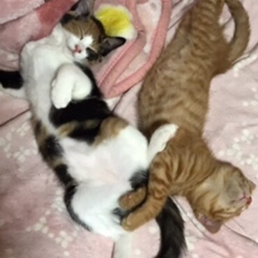 気持ちよく寝てる～