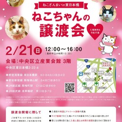 ねこざんまい譲渡会＠東日本橋