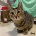百音(もね)☆