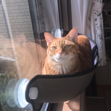 眠くなってきちゃった☺️