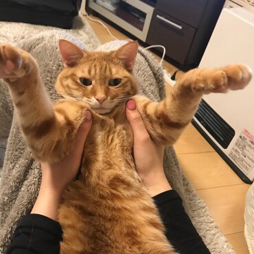 シュワッチ❗️