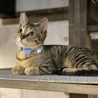 好奇心旺盛アミールくん