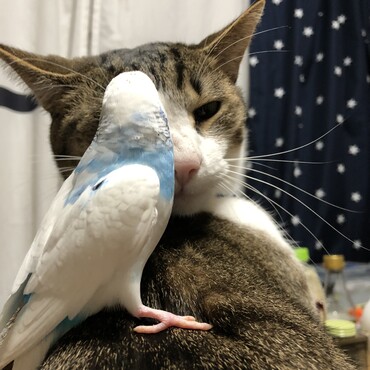 仲良し⁇