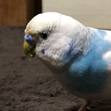 の写真