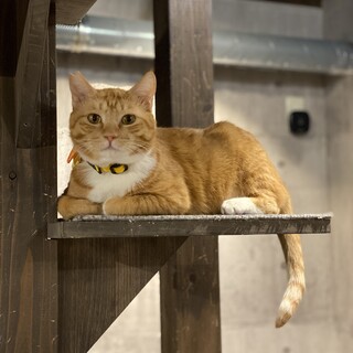 マイペースな甘えん坊　ウィンクル君