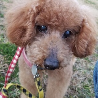 協力ボランティアさんに団体間移動しました