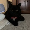 大きくなるたびに可愛くなるねえ