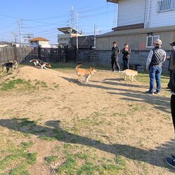 総社市ＡＷＡしつけ教室　＜雨天中止＞