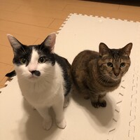 らい