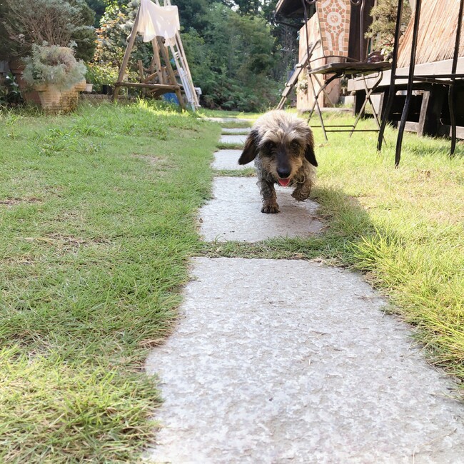 あずきごはんのカバー写真