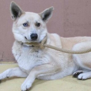 （　預かり決定）