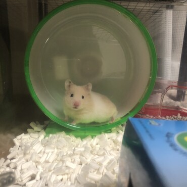 ツキちゃん。