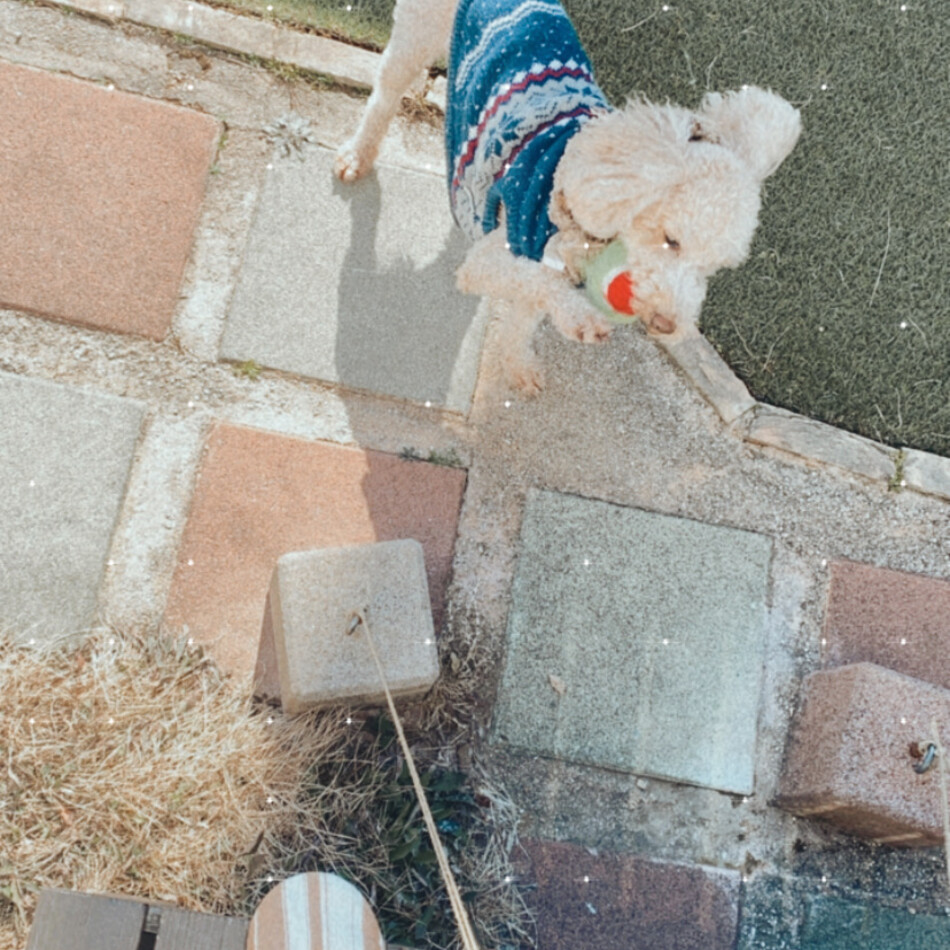 もこのカバー写真