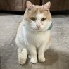 の写真