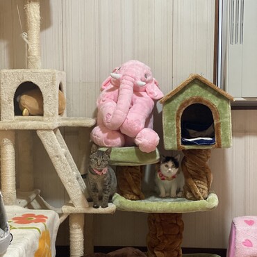 の写真